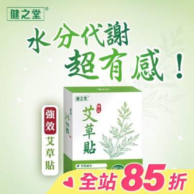 HEALTHALL 健之堂强效艾草貼10片