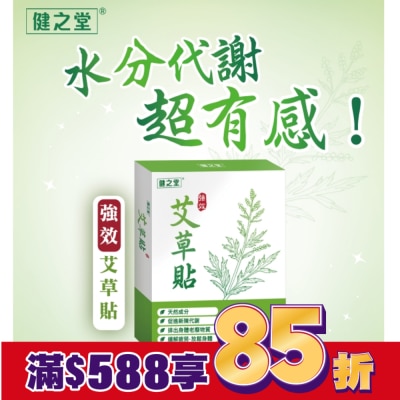 HEALTHALL 健之堂强效艾草貼10片