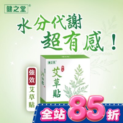 HEALTHALL - 健之堂强效艾草足貼10片(2片/包，共5包) image