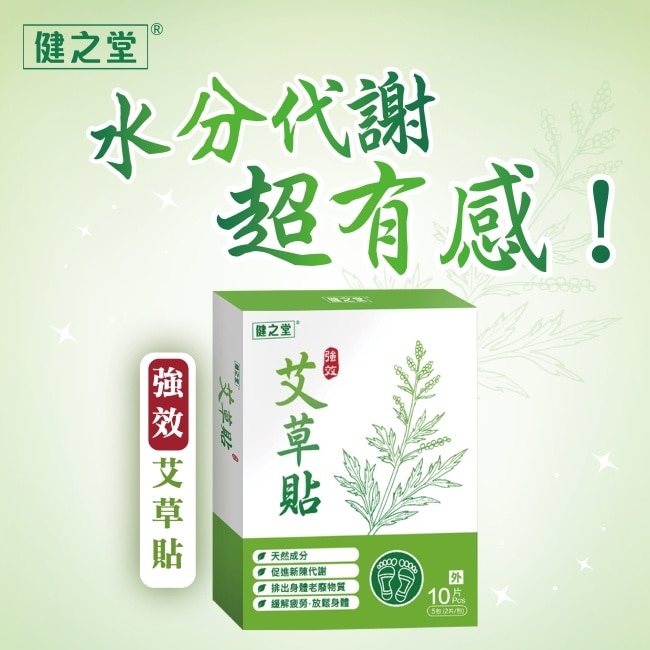 健之堂强效艾草足貼10片(2片/包,共5包) image