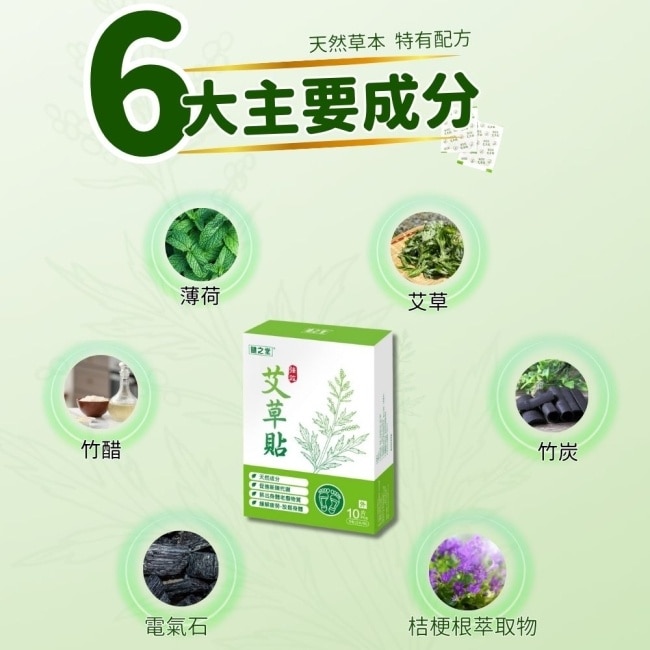 健之堂强效艾草足貼10片(2片/包,共5包) image