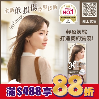 莉婕Liese 莉婕泡沫染髮劑 松果灰棕色