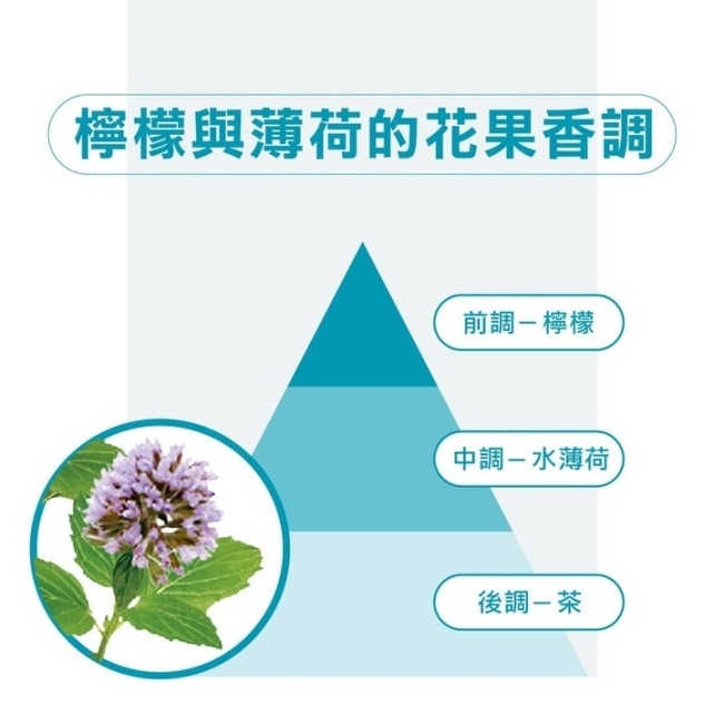 蔻蘿蘭頭皮淨化涼感洗髮精400ml