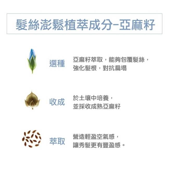 蔻蘿蘭豐盈量感乾洗髮150ml
