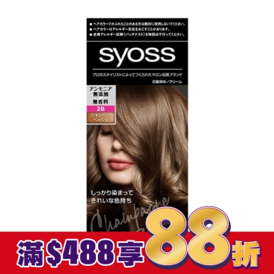 絲蘊 syoss 絲蘊沙龍蓋白染 2B香檳米棕