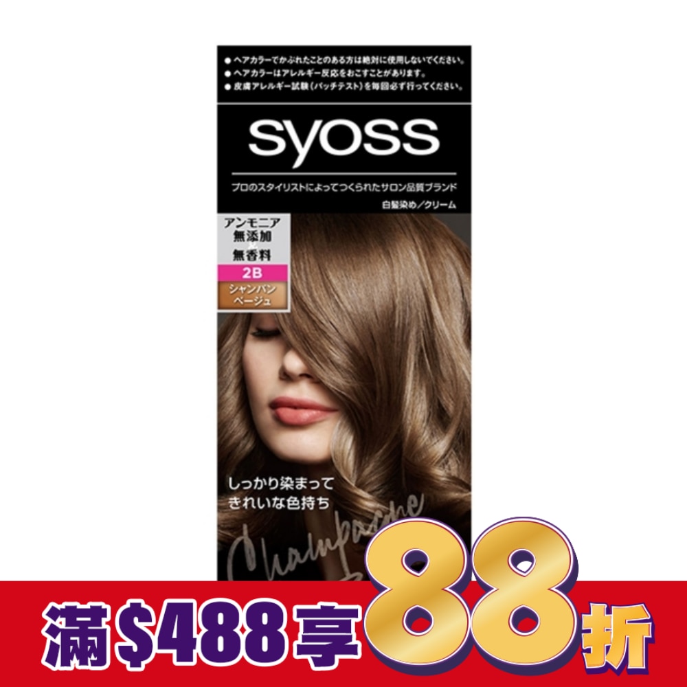 絲蘊沙龍蓋白染 2B香檳米棕