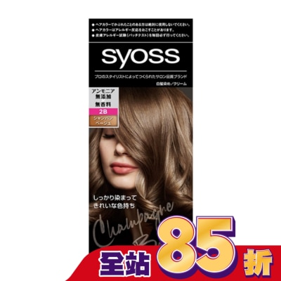 絲蘊 syoss 絲蘊沙龍蓋白染 2B香檳米棕