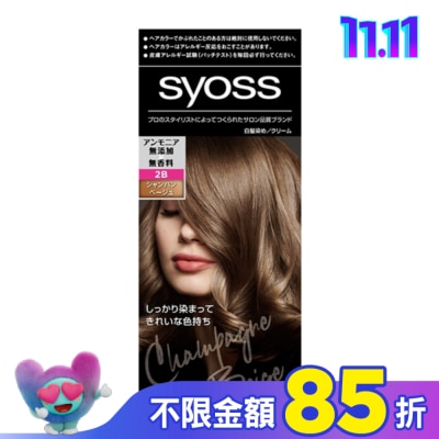 絲蘊 syoss 絲蘊沙龍蓋白染 2B香檳米棕