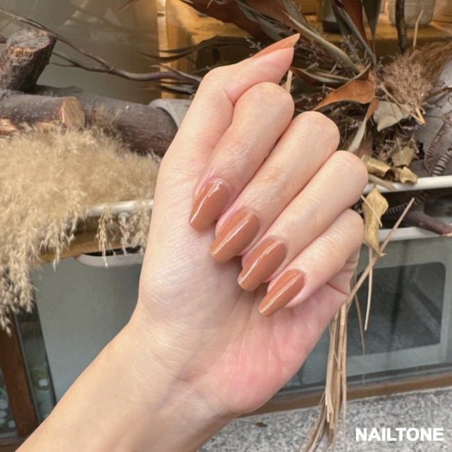 NAILTONE 持久引力指甲油 (蜜漬栗奶) (10mL) N137