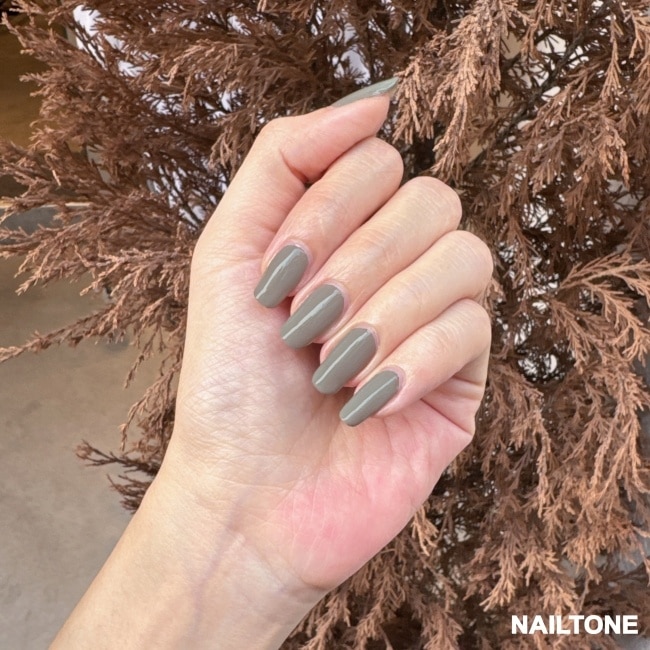 NAILTONE 持久引力指甲油 (冰雪狐灰) (10mL) N143