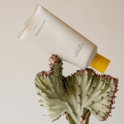 PROVENCE 【Lyanature】李英愛親研LYA 高機能 美白維C營養霜70g 公司貨