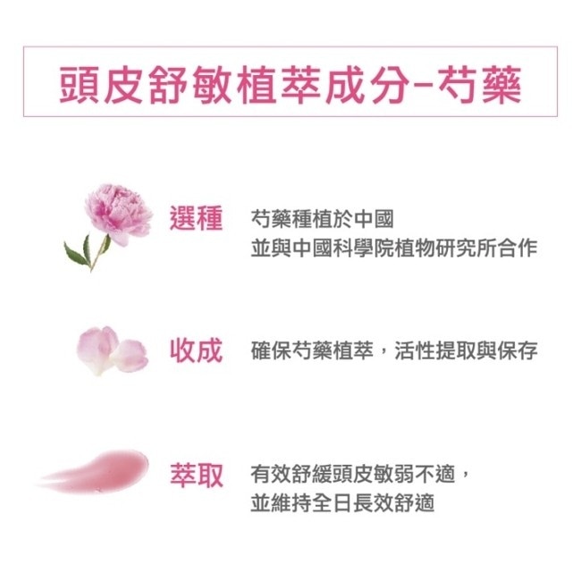 蔻蘿蘭速效舒敏洗髮精大+小組(速效舒敏洗髮精400ml*1+速效舒敏洗髮精200ml*1)