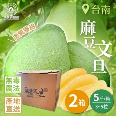家購網嚴選 【家購網嚴選】台南麻豆文旦5斤x2箱(3~5粒/箱)8/25後出貨
