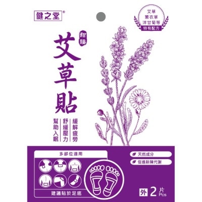 HEALTHALL - 健之堂甜睡艾草足貼2片裝
