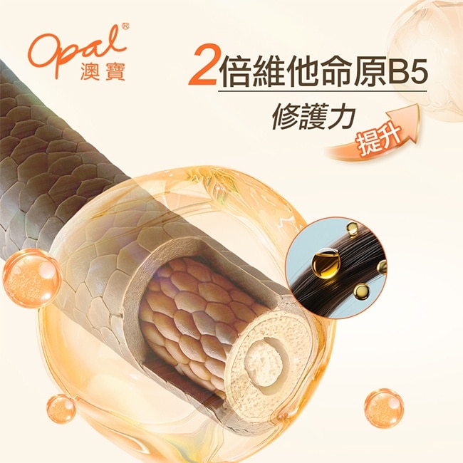 澳寶一分鐘焗油經典修護225ml