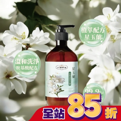 J Clean 小潔革命 星玉蘭抗菌淨潤洗手露500ml