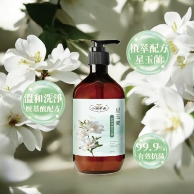 J Clean 小潔革命 星玉蘭抗菌淨潤洗手露500ml