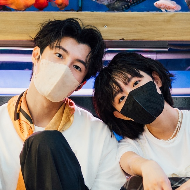 天天 3D V立體口罩 耳繩款 5入/袋 (顏色隨機出貨)