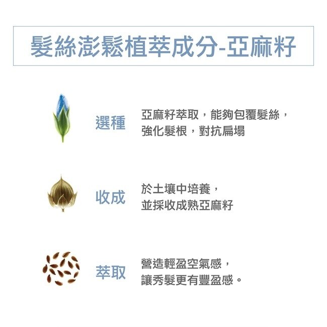 蔻蘿蘭豐盈澎鬆洗髮精400ml二入組(蔻蘿蘭豐盈澎鬆洗髮精400ml*2)