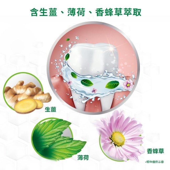 牙周適牙齦護理牙膏溫和淨白90g_換購
