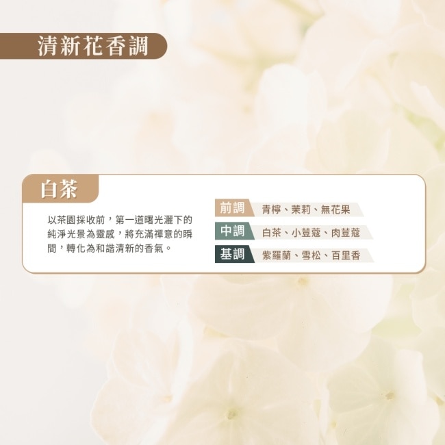 SABON 白茶沐浴油(500ml)_國際航空版
