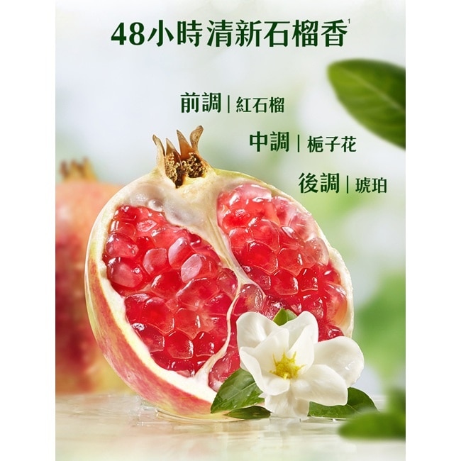 飛柔植粹控油淨澈洗髮露600g