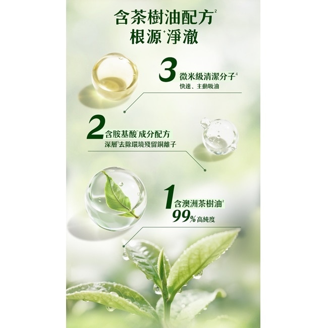 飛柔植粹控油淨澈洗髮露600g