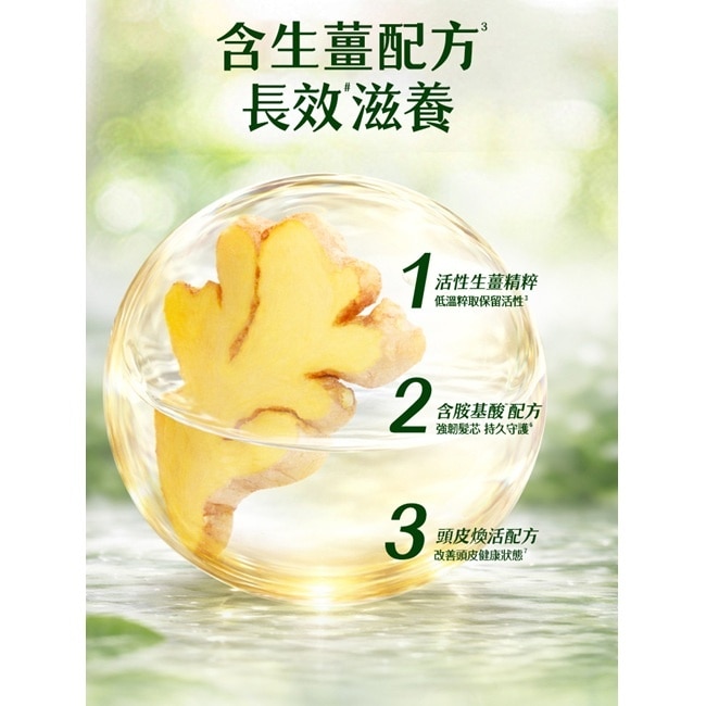 飛柔植粹強韌豐盈洗髮露600g