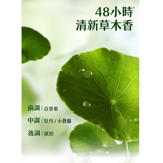 飛柔植粹強韌豐盈洗髮露600g