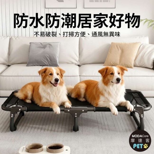 摩達客寵物-免安裝超輕量透氣摺疊寵物行軍床-S號 外銷歐美加厚款飛行床寵物床_不鏽鋼支架