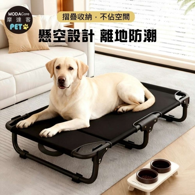 摩達客寵物-免安裝超輕量透氣摺疊寵物行軍床-M號 外銷歐美加厚款飛行床寵物床_不鏽鋼支架