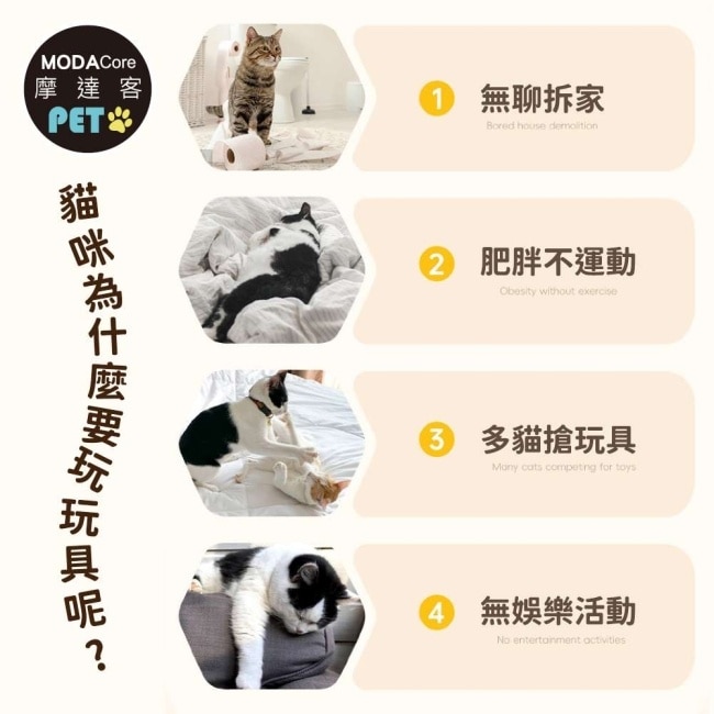 摩達客寵物 貓咪自嗨解悶小喵釣魚鈴鐺逗貓棒 舒壓寵物玩具