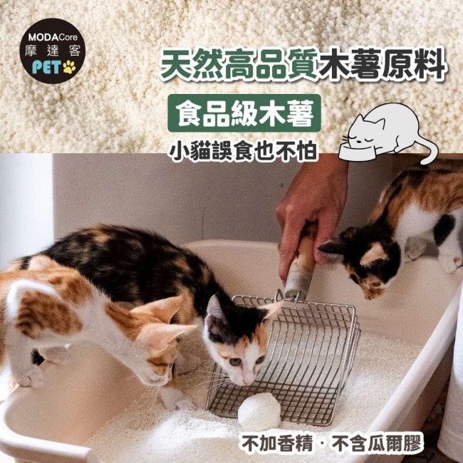 摩達客寵物-転運棧&奧藝頂級純木薯貓砂2.4KGx 24入組_無香精木薯砂_絲蘭除臭強效凝結不粘底