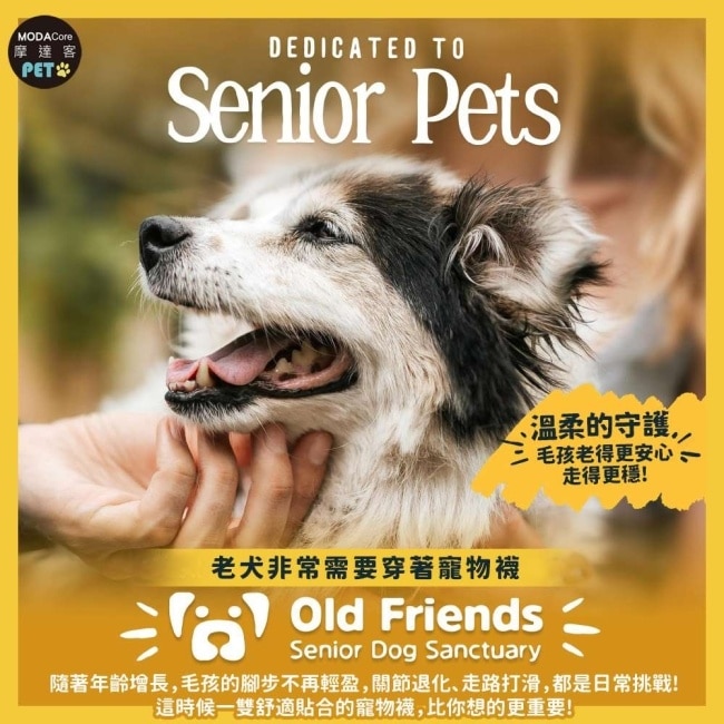 摩達客寵物-狗狗保護止滑襪 防寒防滑防舔防燙傷 格紋腳印點咖色款XS 保護肉球 大狗中小型犬適用