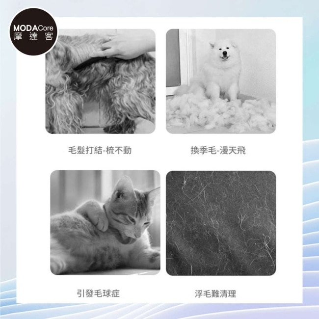 摩達客寵物-VOLOET寵物美容梳 順毛開結梳 長毛狗狗貓咪皆適用 寵物梳 理毛 按摩刷 浮毛梳