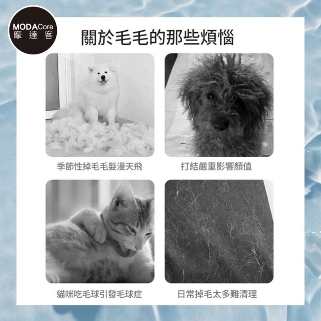 摩達客寵物-寵物三合一美容梳 刀梳 針梳 開結梳 長短毛狗狗貓咪皆可使用 寵物梳 理毛 順毛 按摩刷 浮毛梳