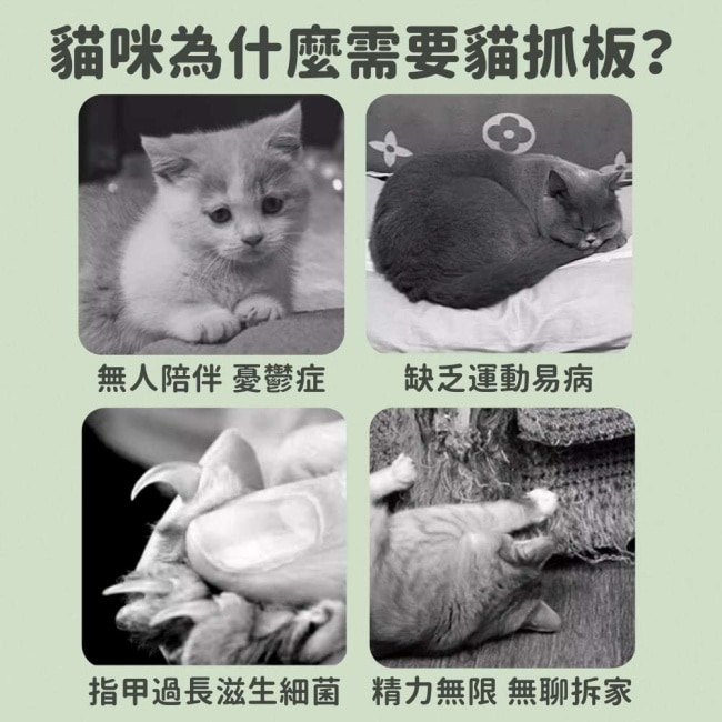 摩達客寵物-雙層雙功用暖暖絨毛劍麻聖誕樹造型樹洞貓窩+猫抓板耐磨猫咪玩具