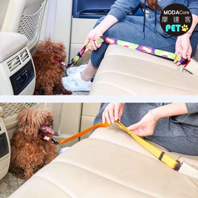 【摩達客寵物】寵物用汽車安全帶 安全繩 編織紅藍款 汽車專用安全繩(中小型狗狗適用 外出保護配件)
