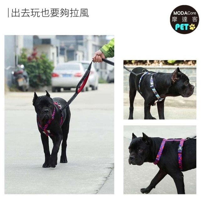 【摩達客寵物】狗狗 犬用背心式 工字胸背帶 紅藍款L (中大型犬適用 防暴衝)