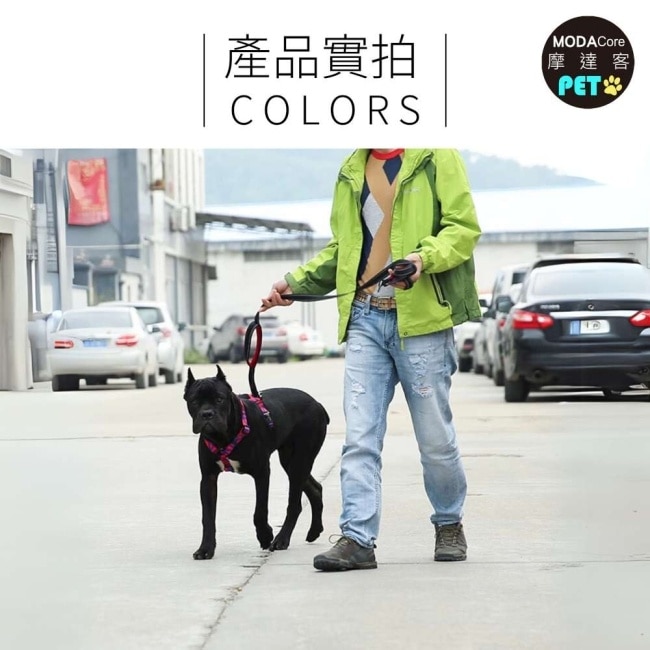 【摩達客寵物】狗狗 犬用背心式 工字胸背帶 波浪款L (中大型犬適用 防暴衝)