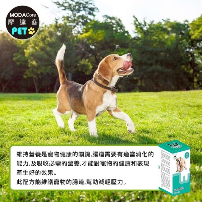 【摩達客寵物】維益特狗狗益生菌整腸劑300g-犬狗營養保健必備