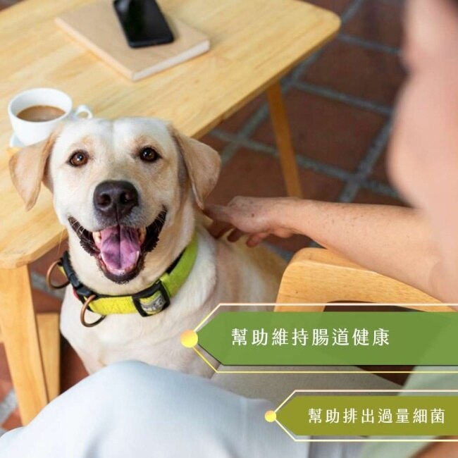 【摩達客寵物】維益特狗狗益生菌整腸劑300g-犬狗營養保健必備