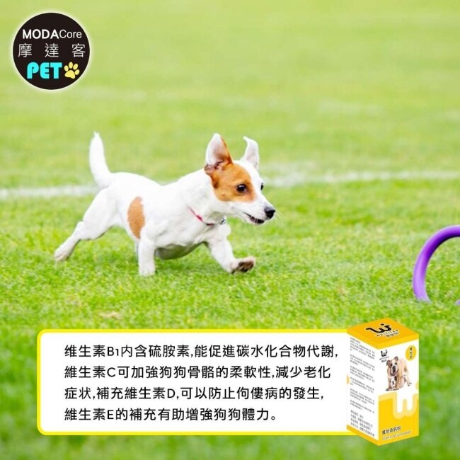【摩達客寵物】維益特狗狗維他命鈣粉260g-犬狗營養保健必備