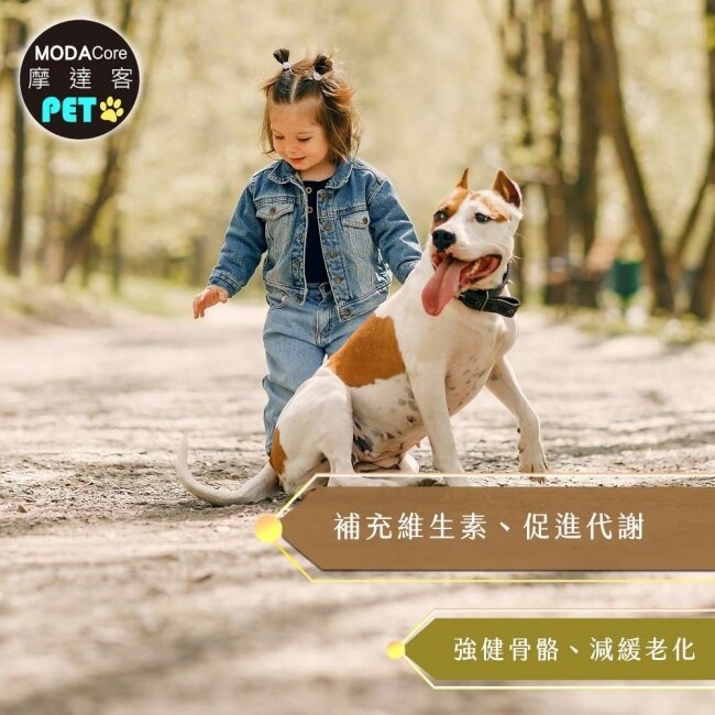 【摩達客寵物】維益特狗狗維他命鈣粉260g-犬狗營養保健必備