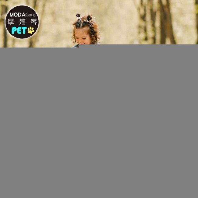 【摩達客寵物】維益特狗狗維他命鈣粉260g(2入組)-犬狗營養保健必備