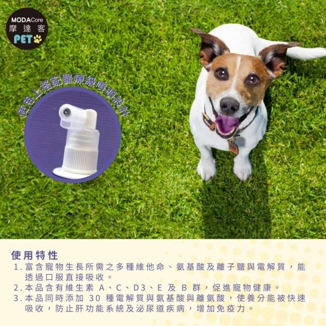 【摩達客寵物】維益特狗狗維他命ADE濃縮液50ml(2入組)-犬狗營養保健必備