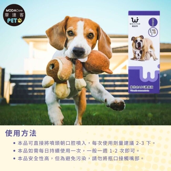 【摩達客寵物】維益特狗狗維他命ADE濃縮液50ml(2入組)-犬狗營養保健必備