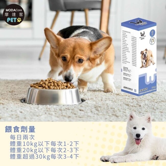 【摩達客寵物】維益特狗狗鈣鎂液態鈣水120ml(2入組)-犬狗營養保健必備