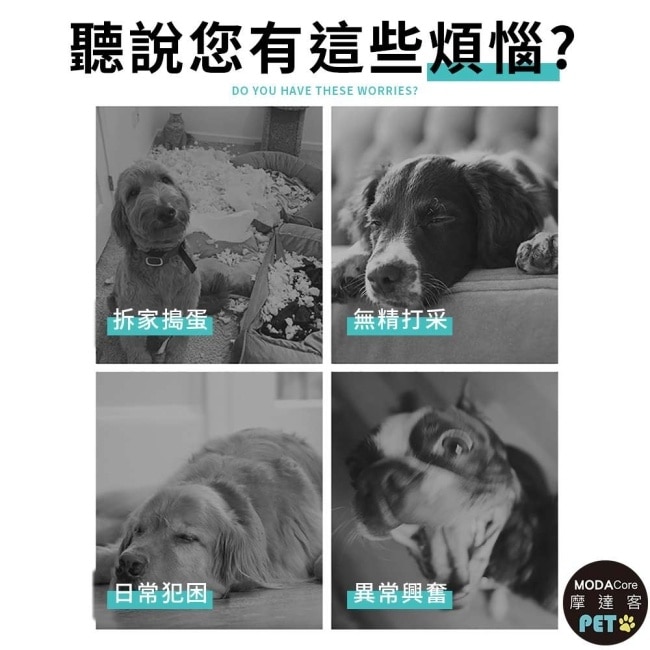 摩達客寵物-狗狗磨牙紓壓咬咬玩具三件A組 解悶趣味潔齒 自嗨耐咬寵物玩具