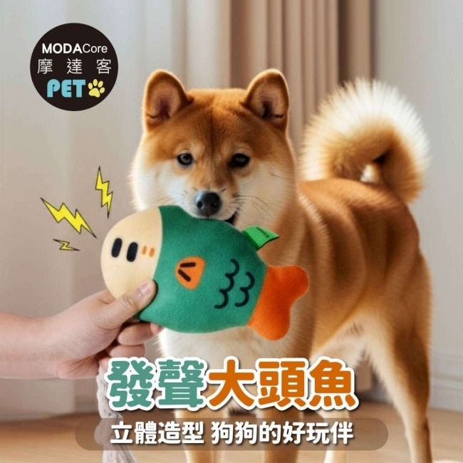 摩達客寵物-棉繩咬咬發聲玩具-可愛大頭魚-狗猫磨牙互動紓壓_陪伴布娃娃自嗨解悶